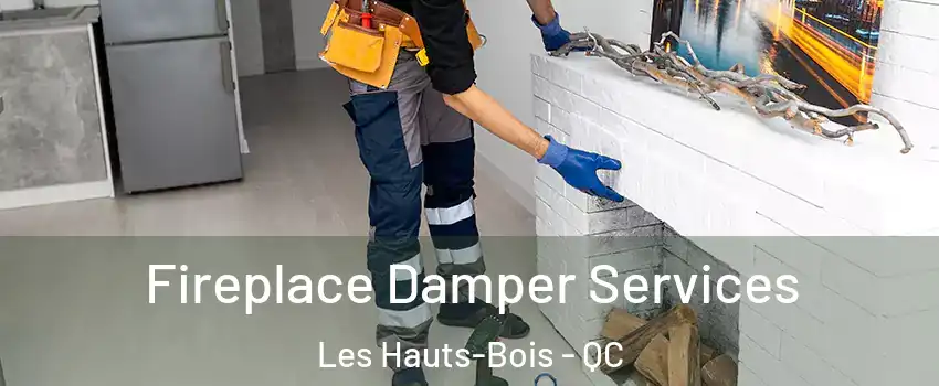  Fireplace Damper Services Les Hauts-Bois - QC