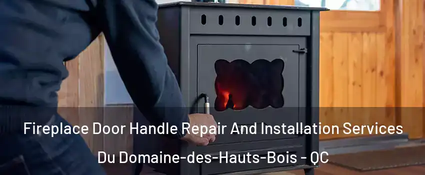  Fireplace Door Handle Repair And Installation Services Du Domaine-des-Hauts-Bois - QC