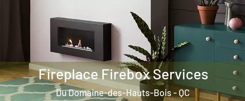  Fireplace Firebox Services Du Domaine-des-Hauts-Bois - QC