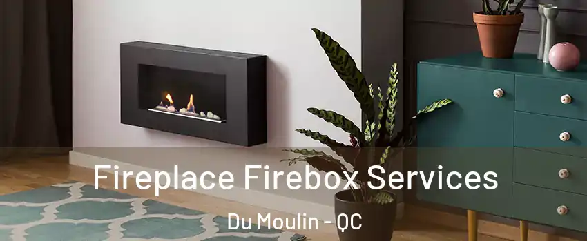  Fireplace Firebox Services Du Moulin - QC