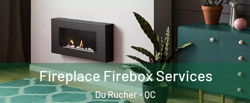  Fireplace Firebox Services Du Rucher - QC