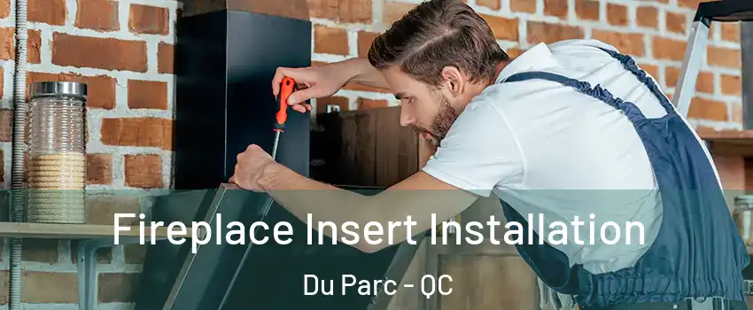  Fireplace Insert Installation Du Parc - QC