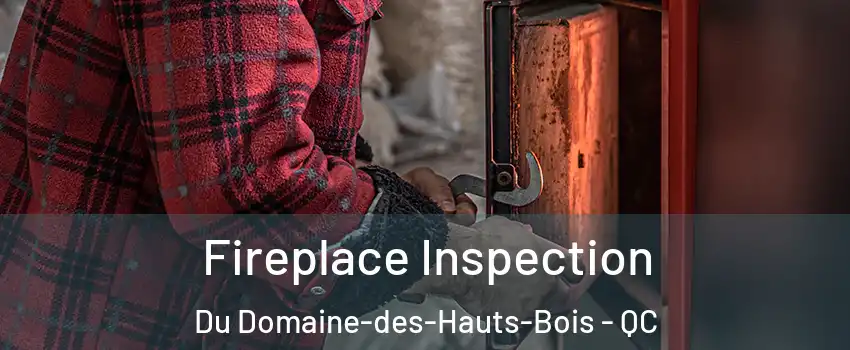  Fireplace Inspection Du Domaine-des-Hauts-Bois - QC