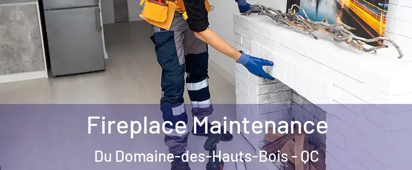  Fireplace Maintenance Du Domaine-des-Hauts-Bois - QC