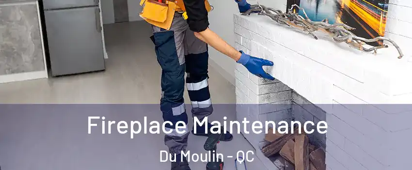  Fireplace Maintenance Du Moulin - QC