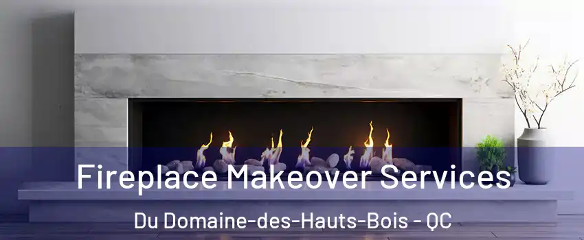  Fireplace Makeover Services Du Domaine-des-Hauts-Bois - QC