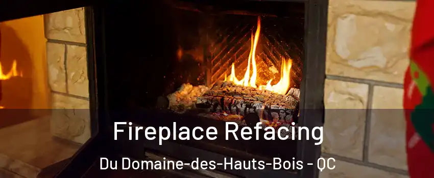  Fireplace Refacing Du Domaine-des-Hauts-Bois - QC