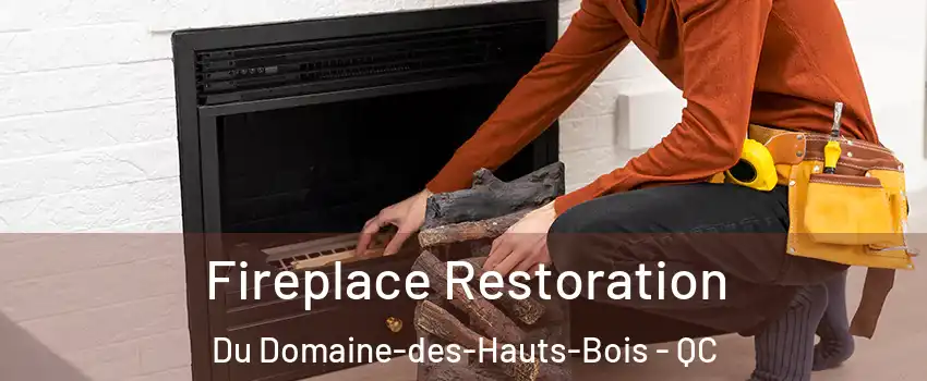  Fireplace Restoration Du Domaine-des-Hauts-Bois - QC