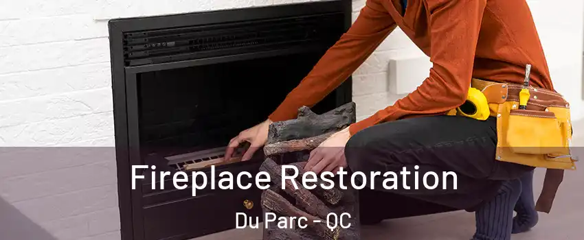  Fireplace Restoration Du Parc - QC