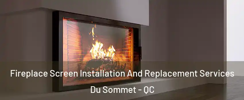  Fireplace Screen Installation And Replacement Services Du Sommet - QC