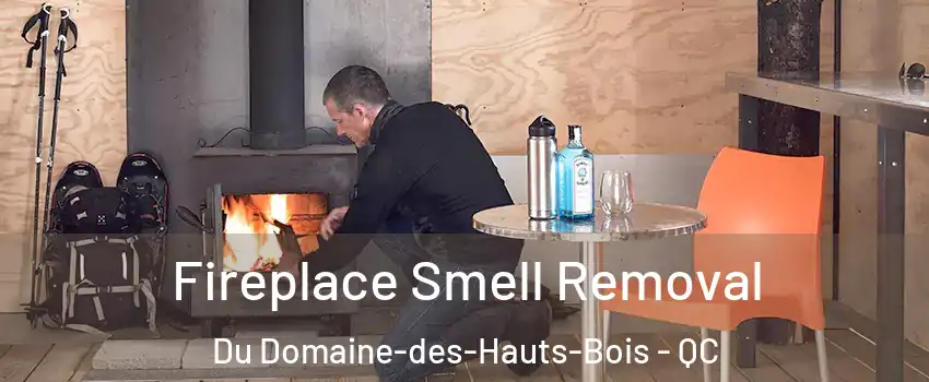  Fireplace Smell Removal Du Domaine-des-Hauts-Bois - QC
