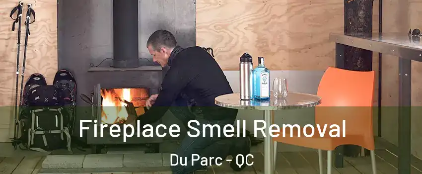  Fireplace Smell Removal Du Parc - QC