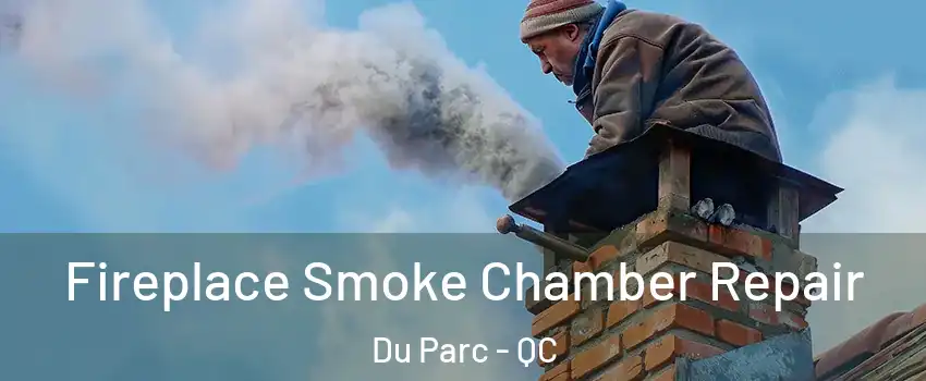  Fireplace Smoke Chamber Repair Du Parc - QC