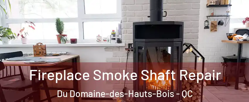  Fireplace Smoke Shaft Repair Du Domaine-des-Hauts-Bois - QC