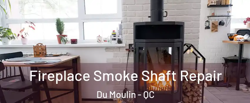  Fireplace Smoke Shaft Repair Du Moulin - QC