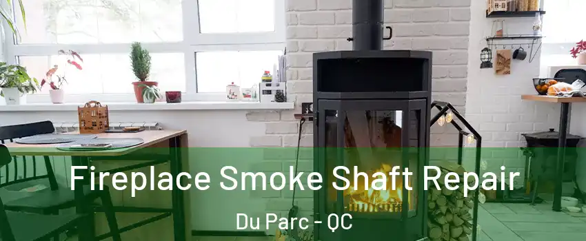  Fireplace Smoke Shaft Repair Du Parc - QC