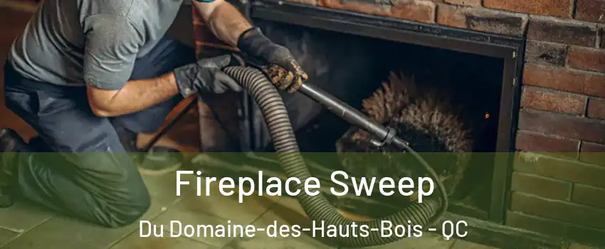  Fireplace Sweep Du Domaine-des-Hauts-Bois - QC
