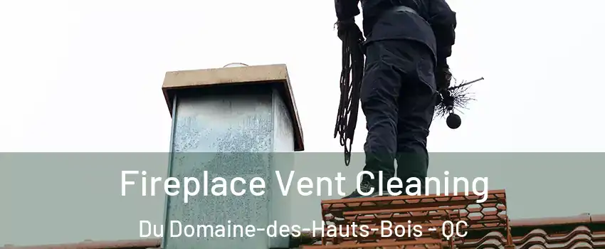  Fireplace Vent Cleaning Du Domaine-des-Hauts-Bois - QC