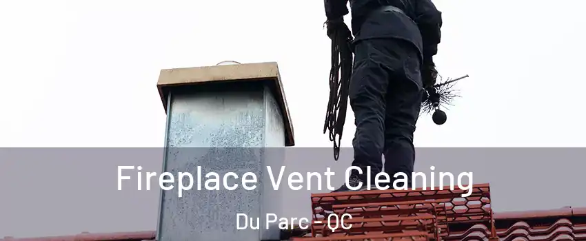  Fireplace Vent Cleaning Du Parc - QC