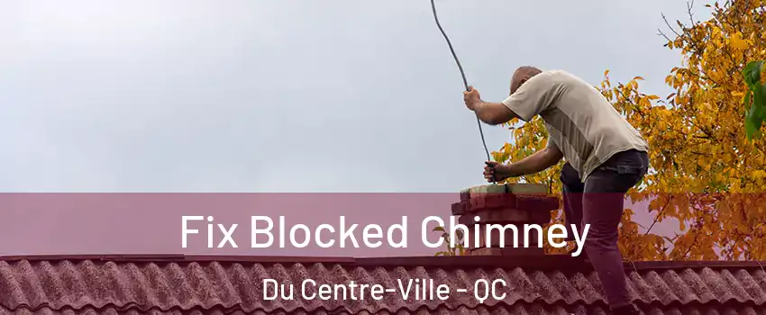  Fix Blocked Chimney Du Centre-Ville - QC