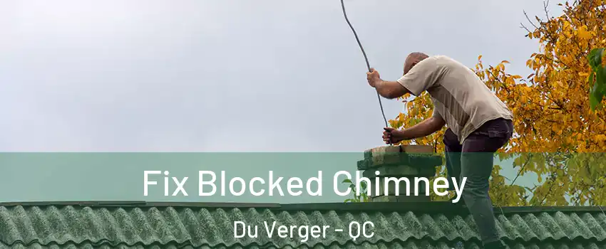  Fix Blocked Chimney Du Verger - QC