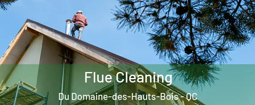  Flue Cleaning Du Domaine-des-Hauts-Bois - QC