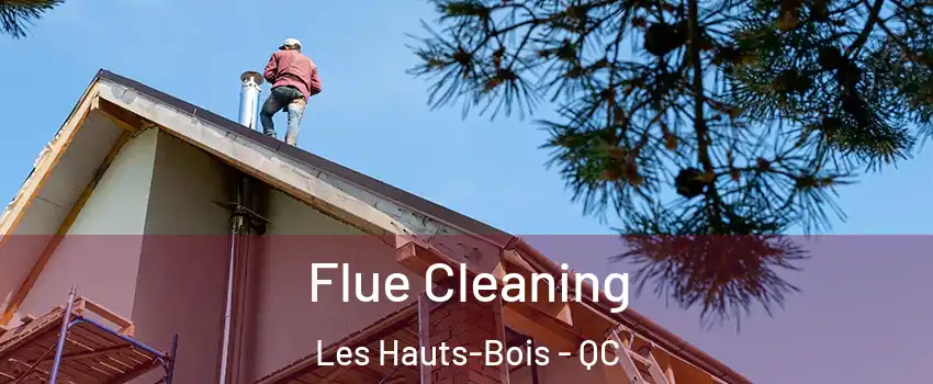 Flue Cleaning Les Hauts-Bois - QC