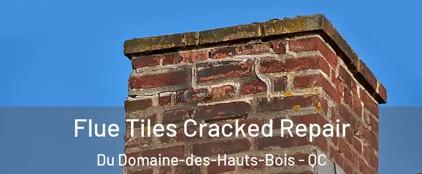  Flue Tiles Cracked Repair Du Domaine-des-Hauts-Bois - QC