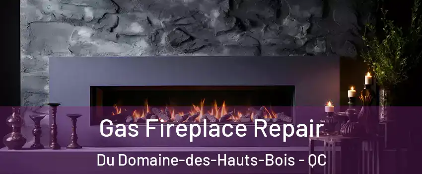  Gas Fireplace Repair Du Domaine-des-Hauts-Bois - QC