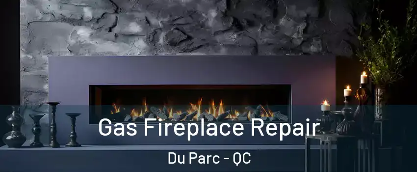  Gas Fireplace Repair Du Parc - QC