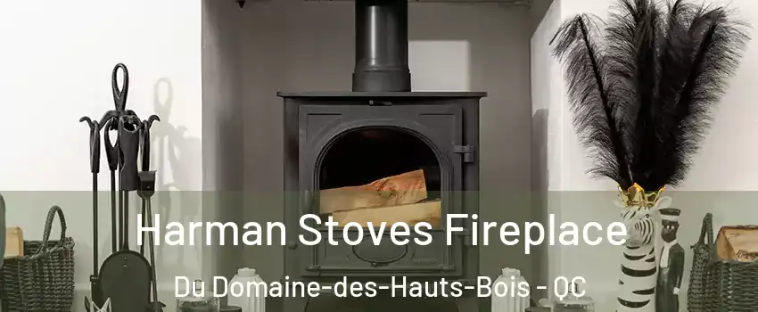  Harman Stoves Fireplace Du Domaine-des-Hauts-Bois - QC