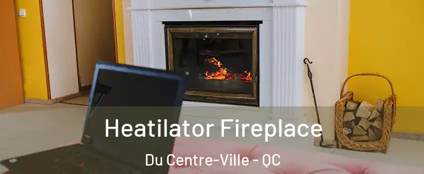  Heatilator Fireplace Du Centre-Ville - QC