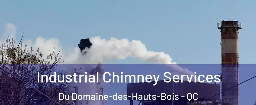  Industrial Chimney Services Du Domaine-des-Hauts-Bois - QC