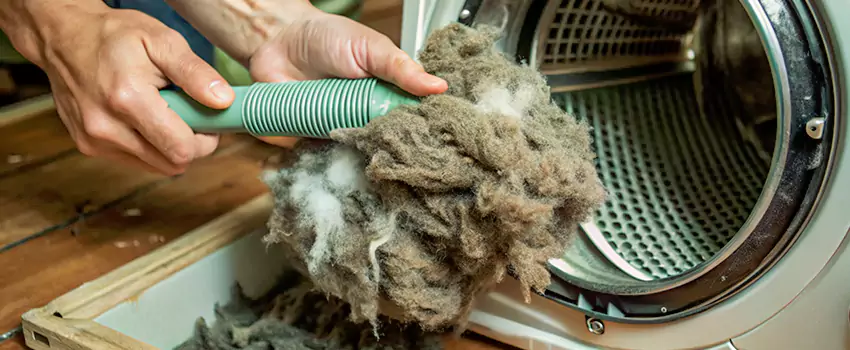 Best Dryer Lint Removal Company in Sainte Julie, Quebec