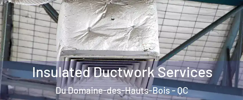  Insulated Ductwork Services Du Domaine-des-Hauts-Bois - QC