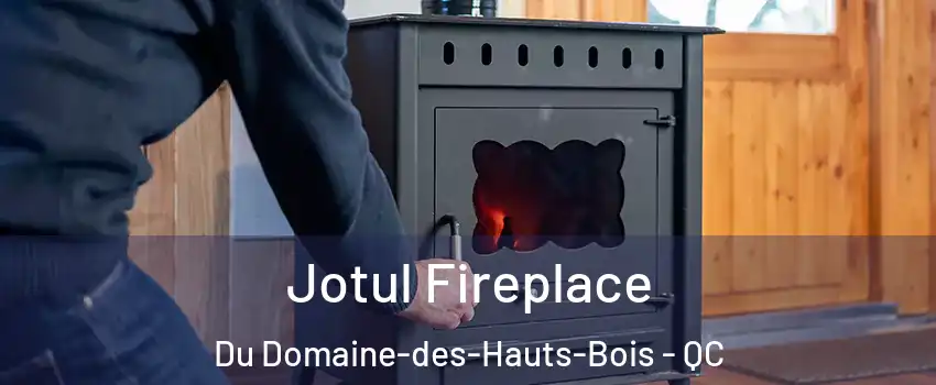  Jotul Fireplace Du Domaine-des-Hauts-Bois - QC