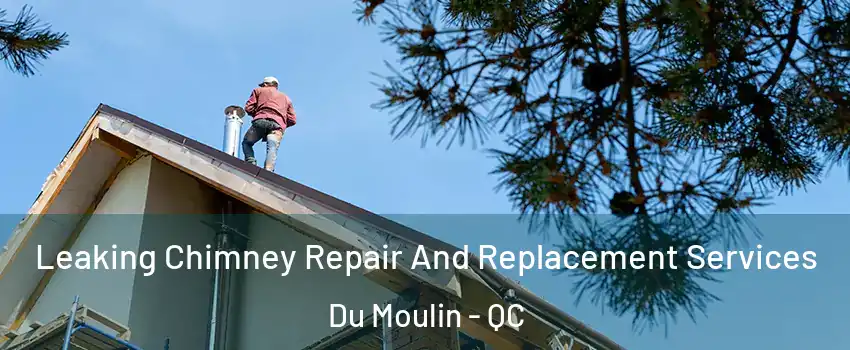  Leaking Chimney Repair And Replacement Services Du Moulin - QC