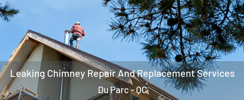  Leaking Chimney Repair And Replacement Services Du Parc - QC