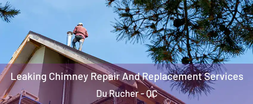  Leaking Chimney Repair And Replacement Services Du Rucher - QC