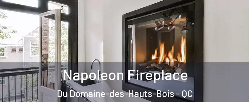  Napoleon Fireplace Du Domaine-des-Hauts-Bois - QC