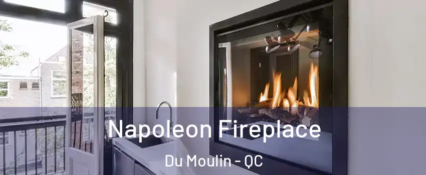  Napoleon Fireplace Du Moulin - QC