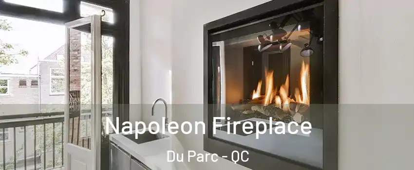  Napoleon Fireplace Du Parc - QC
