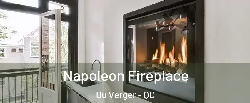  Napoleon Fireplace Du Verger - QC