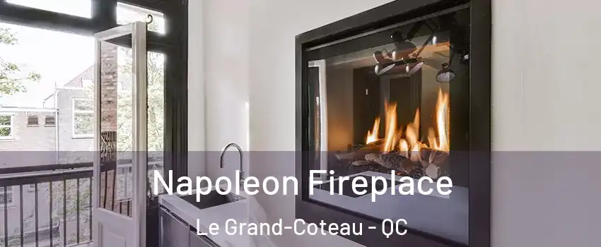  Napoleon Fireplace Le Grand-Coteau - QC