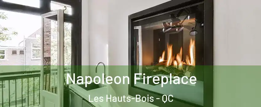  Napoleon Fireplace Les Hauts-Bois - QC