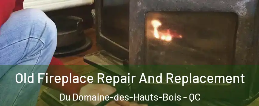  Old Fireplace Repair And Replacement Du Domaine-des-Hauts-Bois - QC