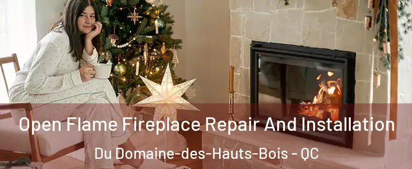  Open Flame Fireplace Repair And Installation Du Domaine-des-Hauts-Bois - QC