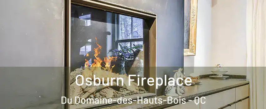  Osburn Fireplace Du Domaine-des-Hauts-Bois - QC