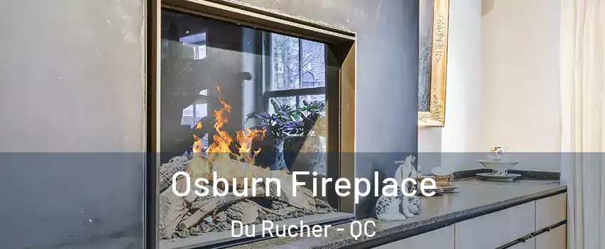  Osburn Fireplace Du Rucher - QC