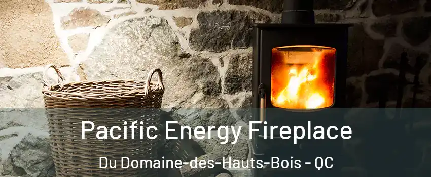  Pacific Energy Fireplace Du Domaine-des-Hauts-Bois - QC